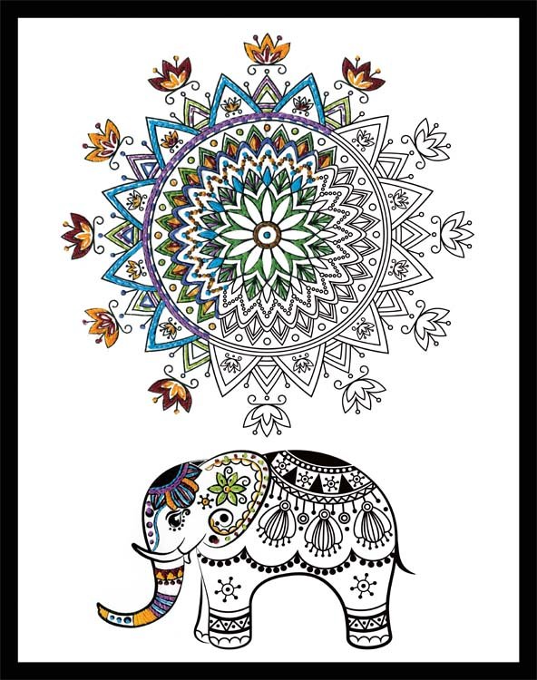 Elephant Mandala Zenbroidery Stamped Embroidery Kit